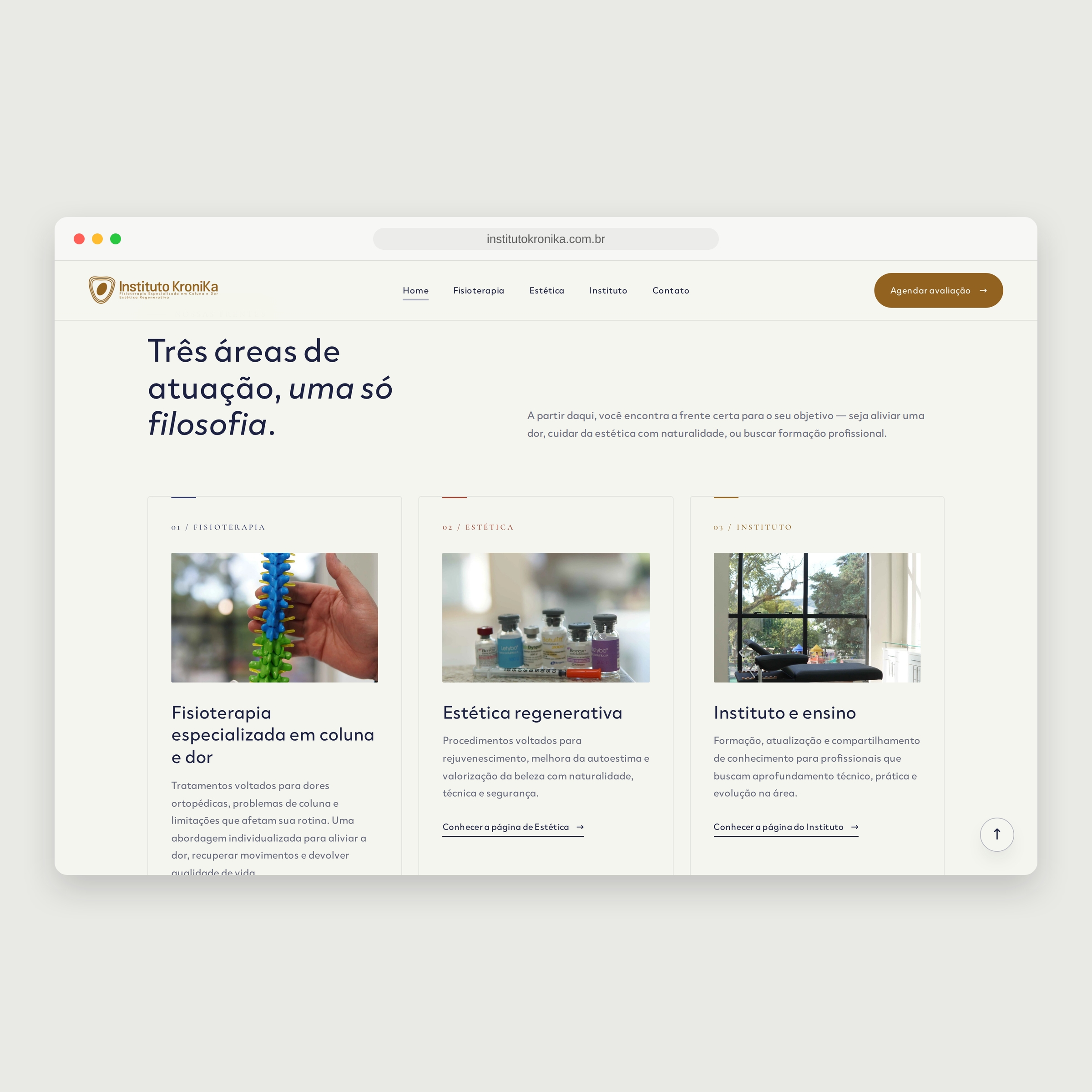 Site do Instituto KroniKa apresentando suas três áreas de atuação